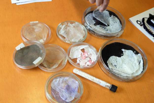 Plásticos biodegradables a partir de una bacteria - Foto 0 