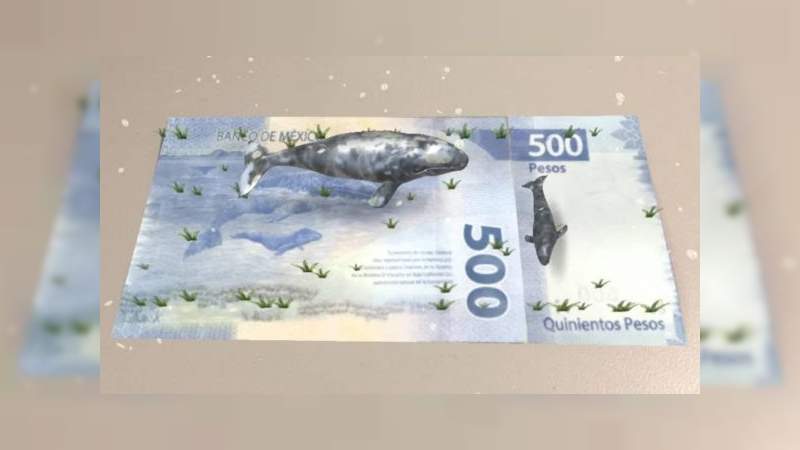 Lanzan app para descubrir billetes falsos 