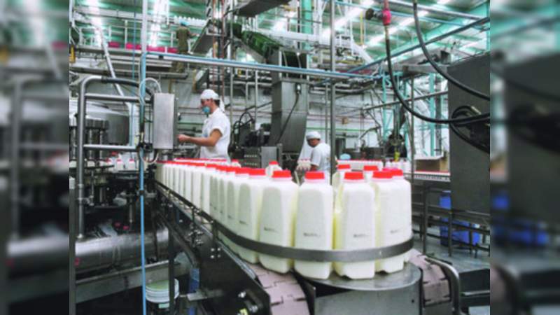 Coahuila perdería 6 mil mdp sí AMLO decide mover la producción lechera 