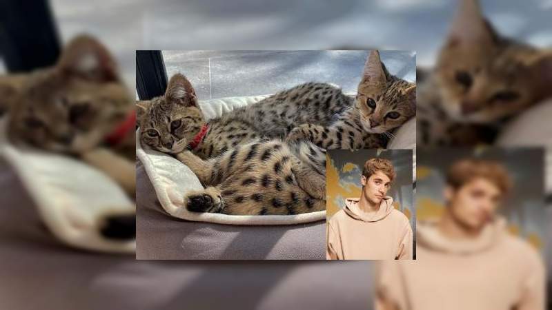 Justin Bieber protagoniza pelea con PETA 