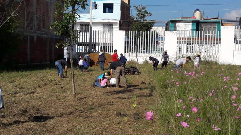 Para conservación y restauración de poblaciones naturales, impulsa el INIRENA reforestación con especies nativas - Foto 0 