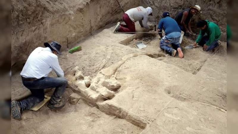 Hallan restos de un mastodonte de más de 10,000 años en Puebla 