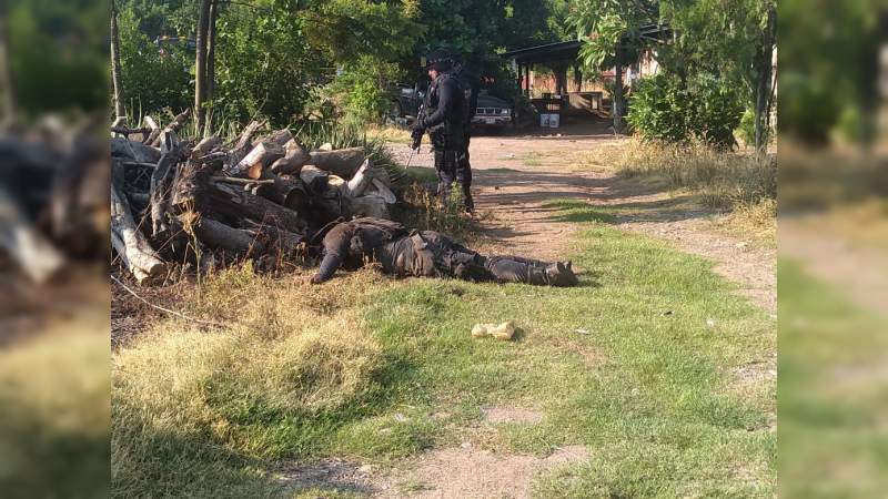 Habría 11 policías desaparecidos en Aguililla, Michoacán - Foto 0 