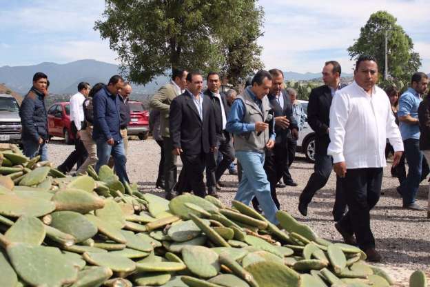 En Michoacán, la primera planta de biogás de nopal a nivel mundial - Foto 1 