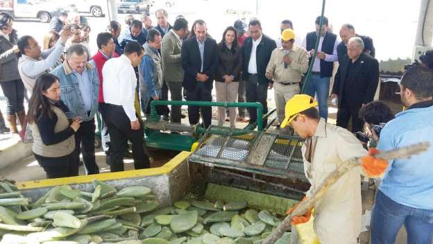 En Michoacán, la primera planta de biogás de nopal a nivel mundial - Foto 2 