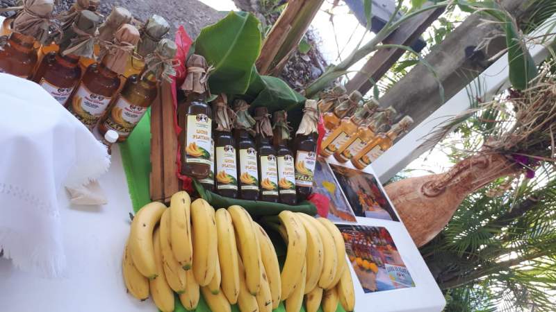 Todo listo para la Expo Tortuga Marina 2019 - Foto 1 