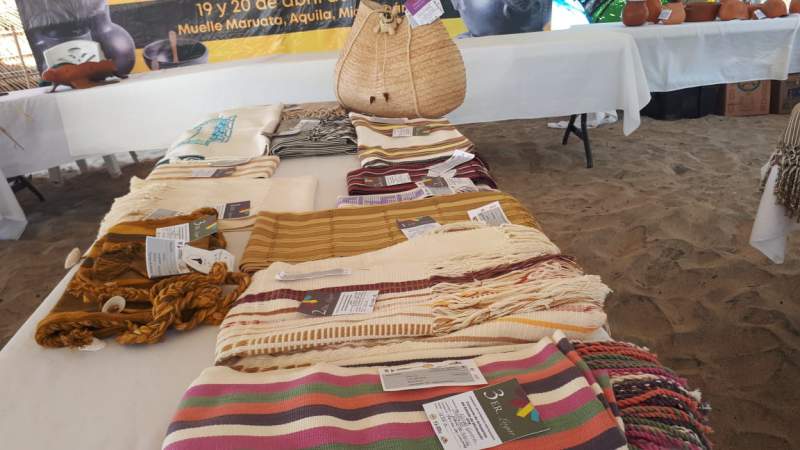 Todo listo para la Expo Tortuga Marina 2019 - Foto 3 