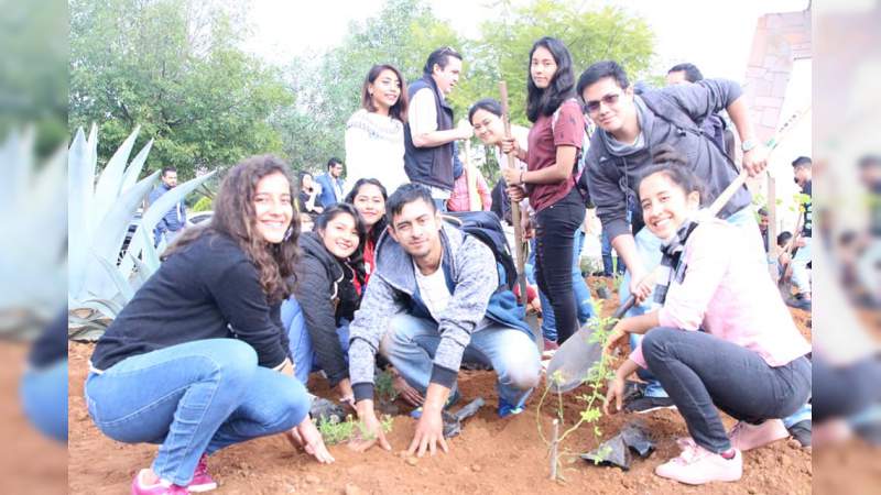 Instalan noveno jardín para polinizadores en la UTM - Foto 1 