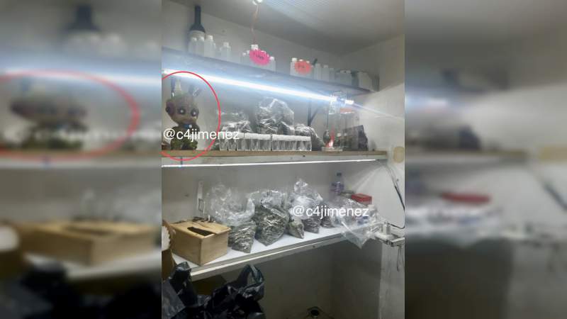 Revientan narcotienda de “El Lunares” en Tepito: Vendían panecillos de marihuana, marihuana de sabores y solventes - Foto 0 