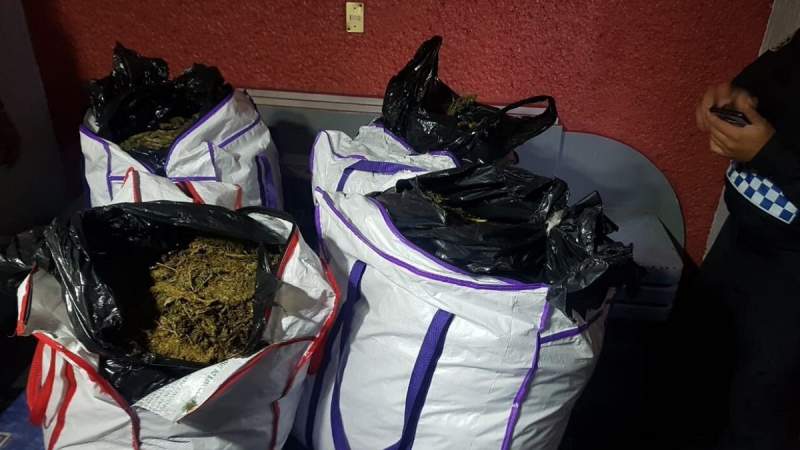 Aseguran 200 kilos de marihuana en la habitación de un hotel en la Ciudad de México 
