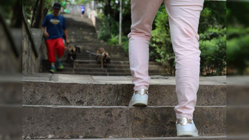En Michoacán existen 10 mil 668 pacientes con obesidad: SSM  - Foto 1 