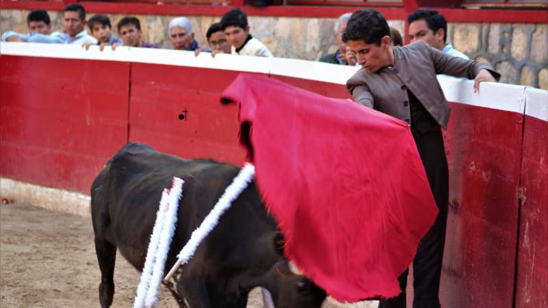 Alicho Pérez y Paco Vargas abren hoy el Festival Taurino en la Monumental de Morelia 