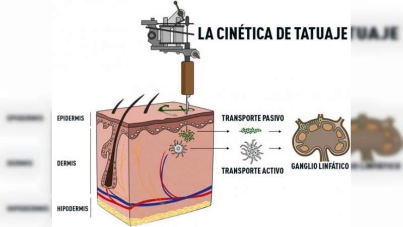 Estudio revela que los tatuajes dañan el sistema inmunológico - Foto 1 