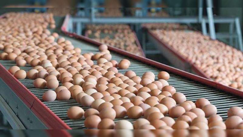 México, el mayor consumidor de huevo en el mundo 