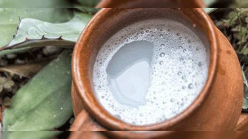 Tarímbaro prepara la Quinta Feria Nacional del Pulque  - Foto 0 