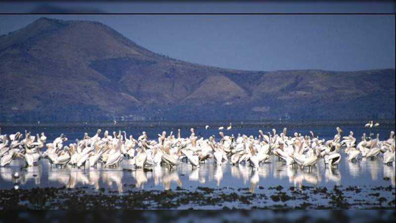 Michoacán ofrece al turista y visitante experiencias inolvidables: Sectur - Foto 3 