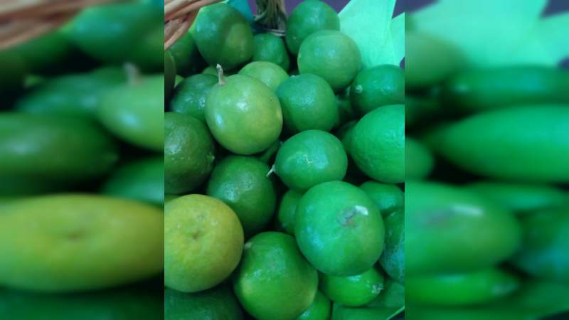 Buenavista Tomatlán invita a su tradicional Feria del Limón - Foto 2 