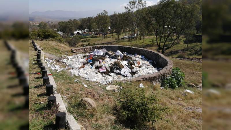 Destruyen autoridades federales más de tonelada y media de drogas incautadas en Michoacán - Foto 0 
