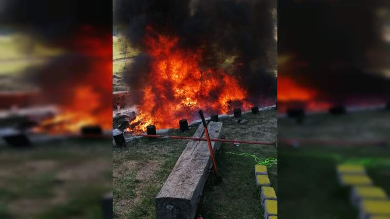 Destruyen autoridades federales más de tonelada y media de drogas incautadas en Michoacán - Foto 5 