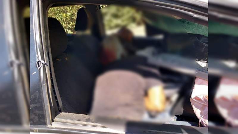 Banda de ladrones de ganado se enfrenta a militares en Oaxaca; Cuatro muertos y un herido - Foto 0 