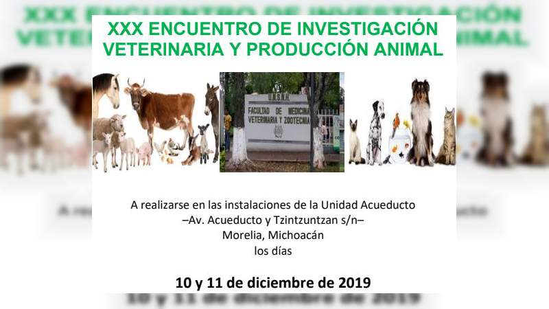 Realizarán XXX Encuentro de Investigación Veterinaria y Producción Animal en la UMSNH 