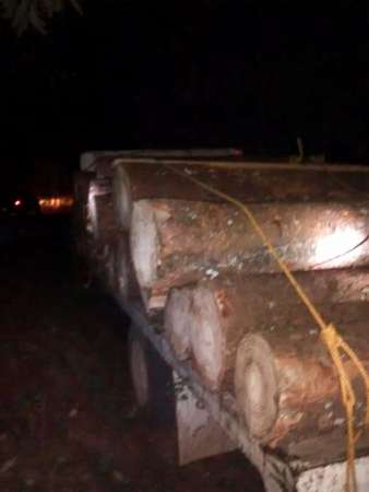 Aseguran camión y camioneta con madera en Charo y Tingambato, Michoacán; hay dos detenidos - Foto 2 