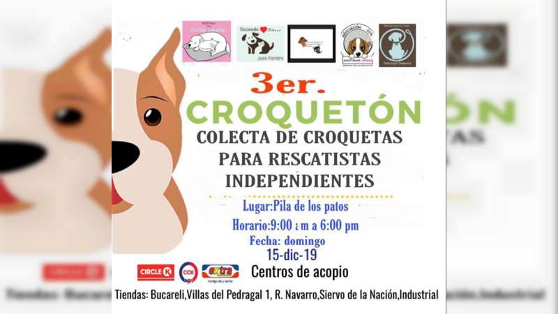 Ayuda en el Tercer Croquetón; el reto es captar una tonelada para alimentar a perros y gatos rescatados 