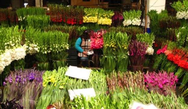 Productores listos para venta de flores en el Día del Amor y la Amistad 