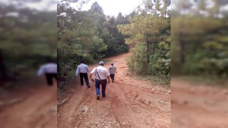 Clausuran dos predios por talar más de 60 árboles y sembrar aguacate, en Reserva de la Monarca en Michoacán - Foto 1 