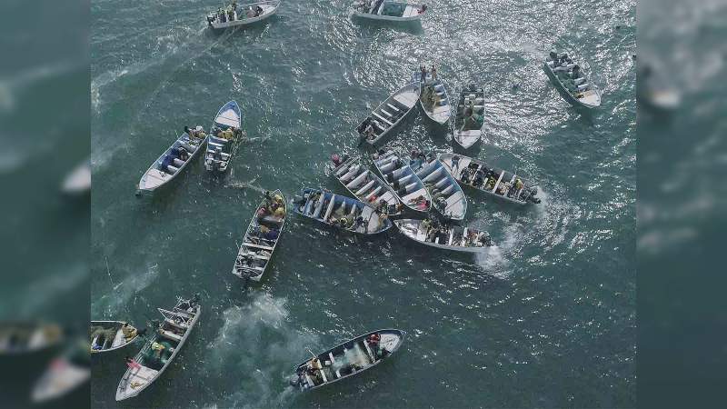 Crisis en el Alto Golfo de California por pesca de la totoaba: Vale más que la cocaína - Foto 0 