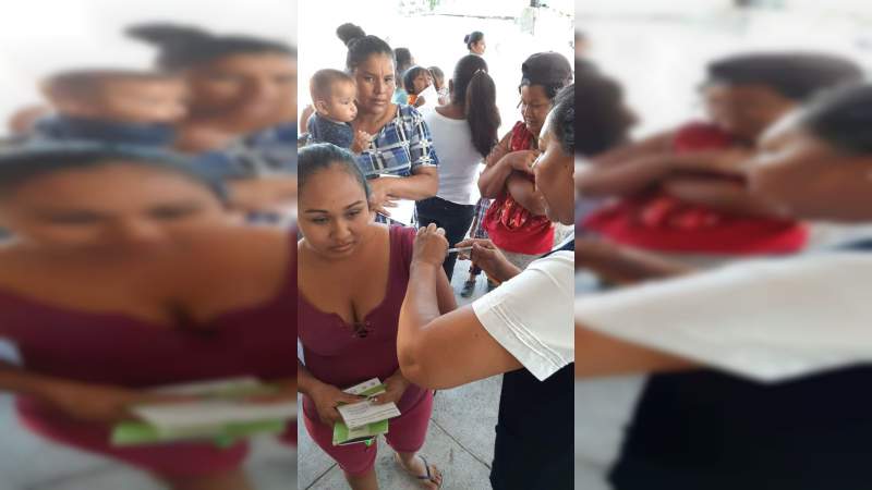 Avance del 73 por ciento en la aplicación de vacuna contra la influenza en la Jurisdicción de Apatzingán - Foto 0 