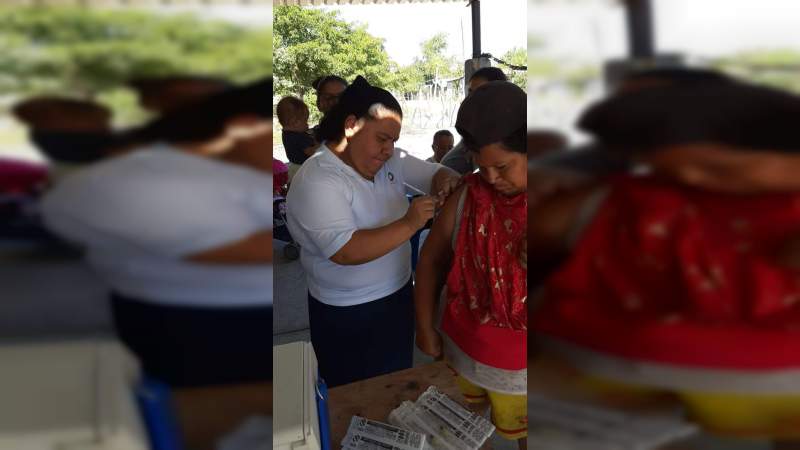 Avance del 73 por ciento en la aplicación de vacuna contra la influenza en la Jurisdicción de Apatzingán - Foto 1 