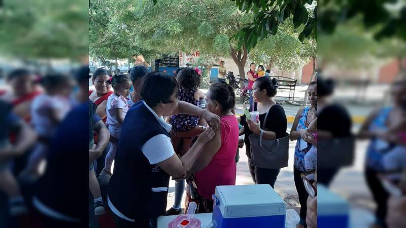 Avance del 73 por ciento en la aplicación de vacuna contra la influenza en la Jurisdicción de Apatzingán - Foto 2 