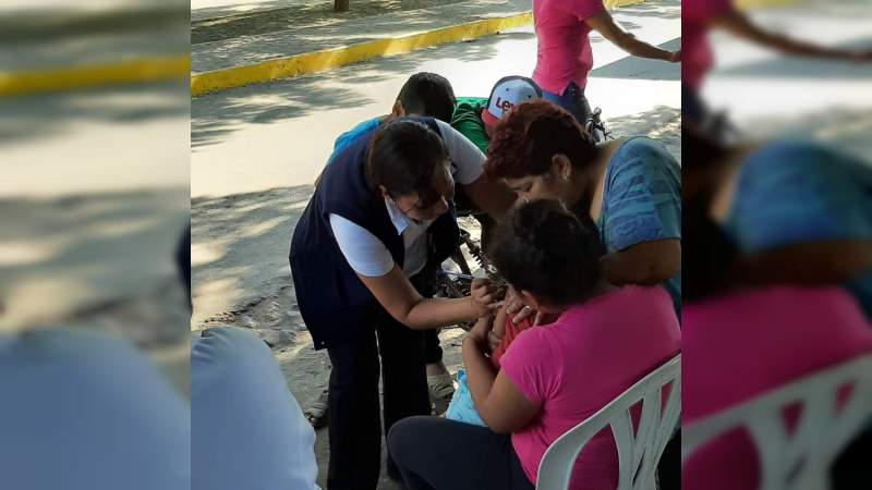 Avance del 73 por ciento en la aplicación de vacuna contra la influenza en la Jurisdicción de Apatzingán - Foto 3 