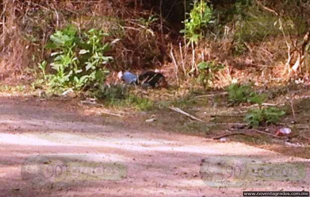Localizan a mujer asesinada sobre la carretera en Uruapan - Foto 0 