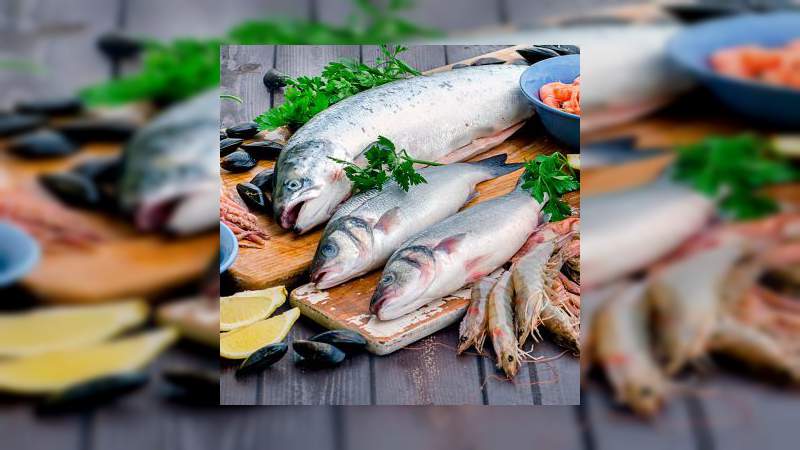 Alertan sobre la presencia de mercurio en mariscos y pescados 