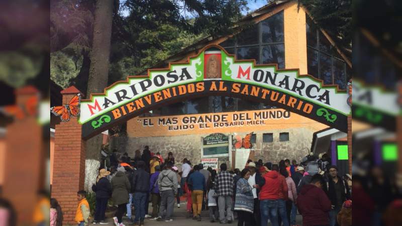 Invita Sectur a conocer las colonias de miles de mariposas en el Región de la Monarca - Foto 1 