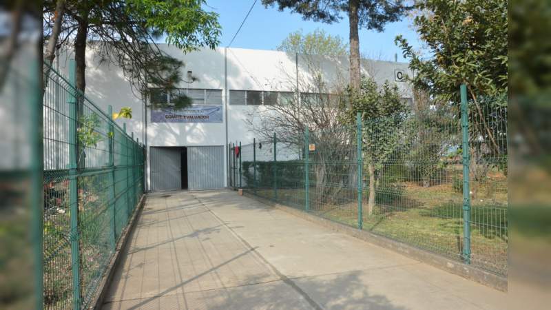 Cierra convocatoria para Doctorado en Tecnología de la Madera - Foto 1 