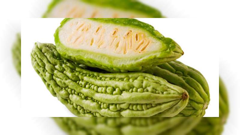 El Fabuloso Melón amargo te ayuda a tratar el cáncer de acuerdo a una investigación 