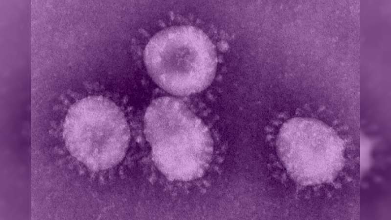 Coronavirus chino ya llegó a Estados Unidos 