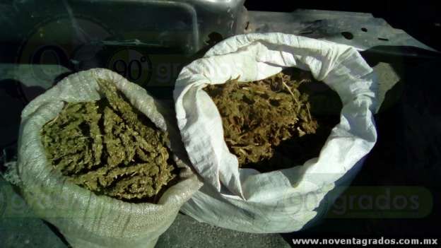 Detienen a sujeto con 19 costales de marihuana en Apatzingán, Michoacán - Foto 1 