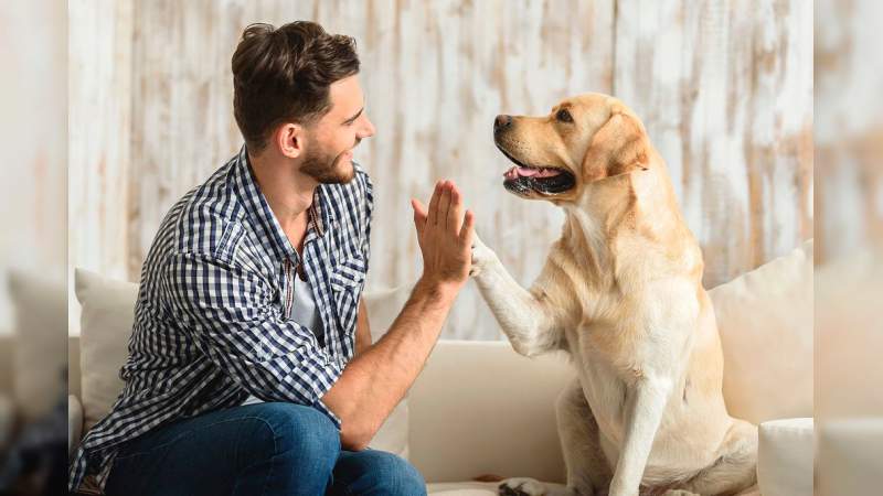 Estudio revela que tratar a tu mascota como un hijo, denota trastornos psicólogos 