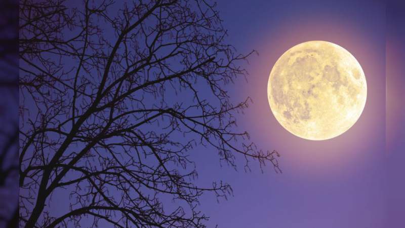 La Luna de Nieve iluminó los cielos del mundo 