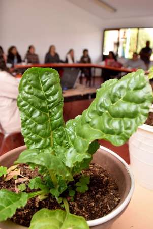 DIF Michoacán realiza Taller de Huertos Escolares y de Traspatio 