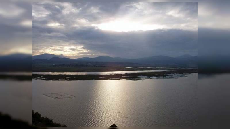Urge proteger y conservar el humedal sur de Pátzcuaro, que produce una cuarta parte de toda el agua en la zona: INIRENA - Foto 2 