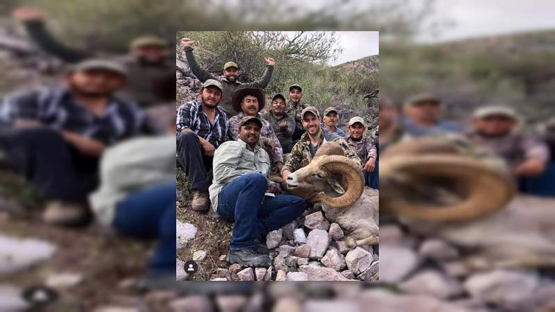 Estadounidense presume caza de un borrego cimarrón, en peligro de extinción, en la sierra de Tecate - Foto 1 