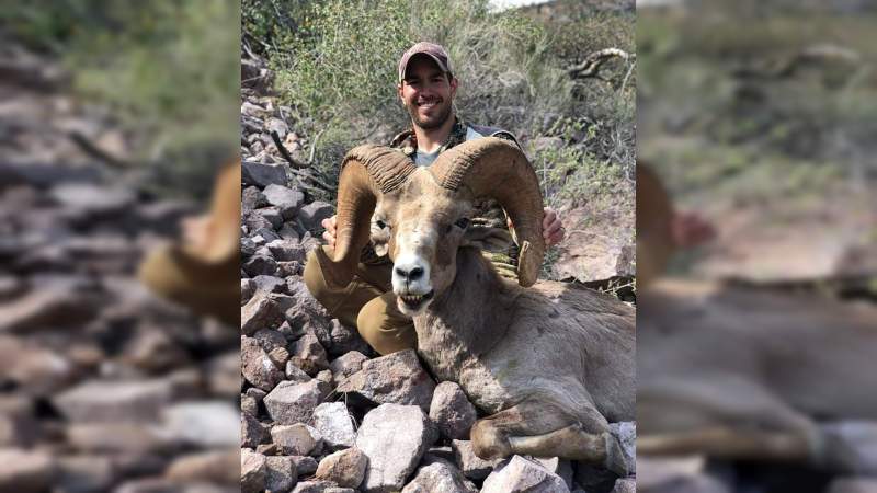 Estadounidense presume caza de un borrego cimarrón, en peligro de extinción, en la sierra de Tecate - Foto 2 