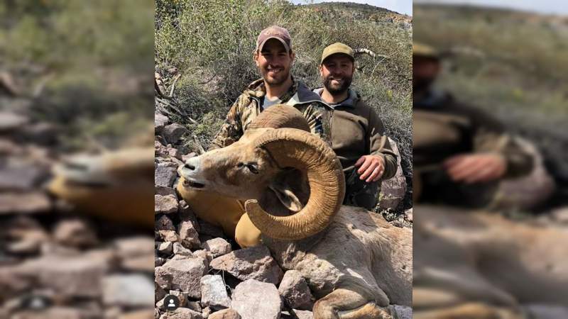 Estadounidense presume caza de un borrego cimarrón, en peligro de extinción, en la sierra de Tecate - Foto 3 