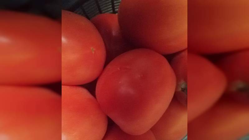 En Apatzingán muy caros los productos de la canasta básica - Foto 1 