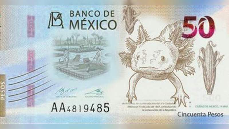Nuevo billete de 50 pesos tendrá un ajolote 